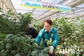 청도군, 2025년 봄철 농촌일손돕기 발대식 개최