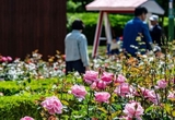 오늘 전국 대부분 낮 25도 이상…오후부터 중부 지방 비