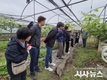 경산시 농촌진흥과, 농번기 농촌일손돕기에 나서