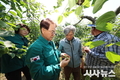 청도군, 우박피해 발생농가 현장점검