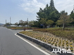 경주 황오동, 여름꽃 식재로 쾌적한 마을 환경 조성