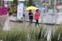 오늘 전국 흐리고 곳곳 비…수도권 시간당 10㎜ 안팎