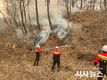 경주시, 산불전문예방진화대 44명 선발…11월부터 본격 가동