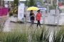 오늘 중부 가끔 구름 많고 남부·제주 최대 120㎜ '집중호우'
