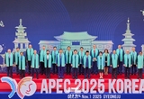 APEC 경주선언 채택..“문화·창조산업 협력 경제성장에 기여” 첫 명시
