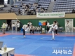 경산시, 제27회 경산시장기 태권도대회 개최!