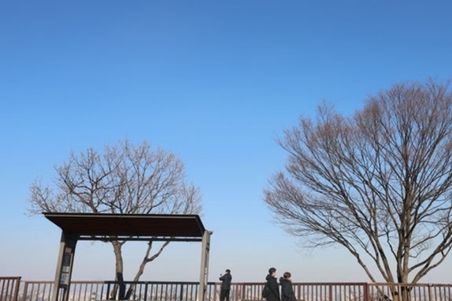 설날 아침 영하권 '뚝'…오후부터 기온 올라