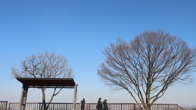 설날 아침 영하권 '뚝'…오후부터 기온 올라