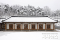 경북 칠곡군 (2월 25일, 봄꽃 대신 눈꽃 핀 향사아트센터, 24일 저녁까지 설경)