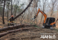 대구 동구, 소나무재선충병 방제사업 집중실시