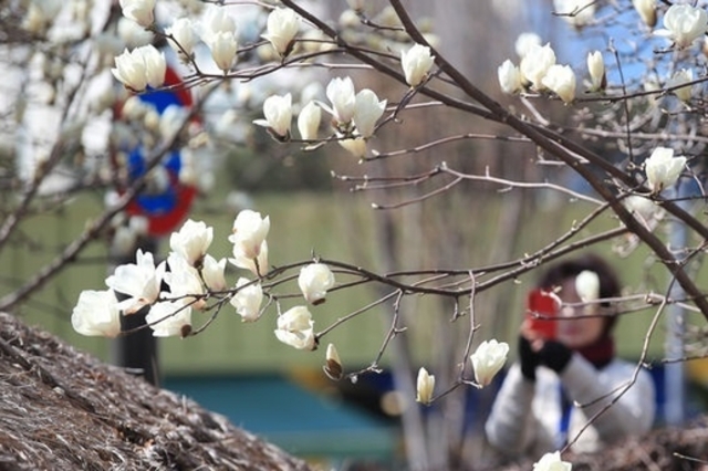 오늘 낮 최고 21도…내륙 중심 일교차 15도 안팎