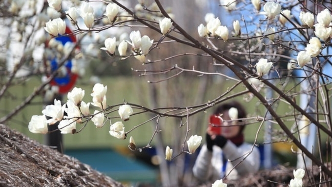 오늘 낮 최고 21도…내륙 중심 일교차 15도 안팎