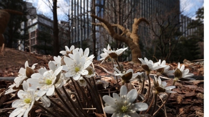 오늘 아침기온 0도 안팎…어제보다 5~10도 떨어져