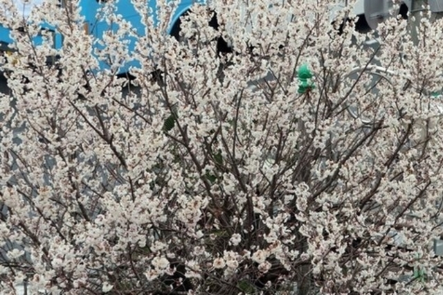 오늘 비 대부분 오전에 그쳐…오후부터 맑은 하늘