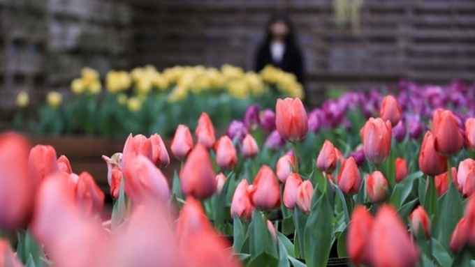 오늘 낮 최고 26도…내륙 중심 일교차 15~20도 "건강 유의"