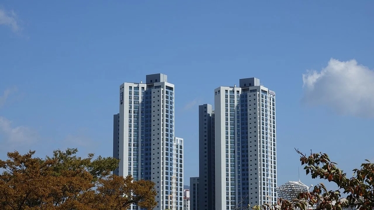 이미지 사진=pixabay 제공