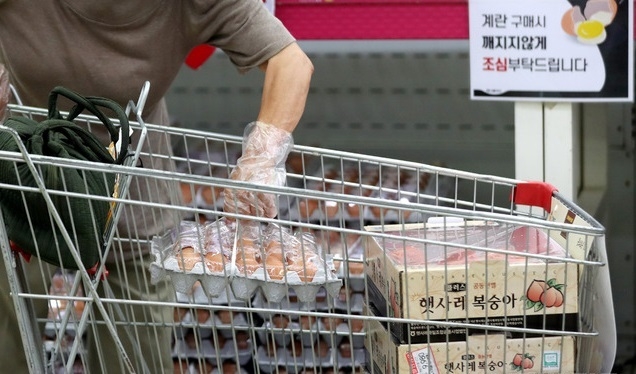 서울 도심의 한 대형마트에서 시민이 계란을 카트에 넣고 있다.(사진=뉴시스)
