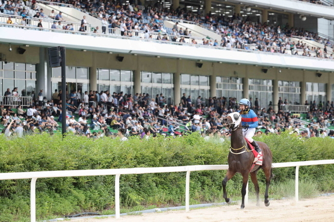 꿈을 현실로 만든 다크호스‘마이드림데이’농림축산식품부장관배(G2) 우승