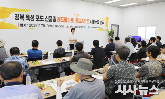 경북 포도 신품종 시범 수출로 해외 시장성 평가